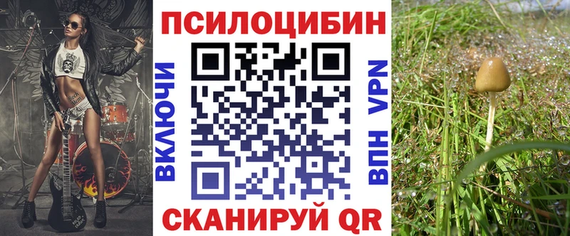 Купить закладки  Горячий Ключ  Галлюциногенные грибы MAGIC MUSHROOMS 